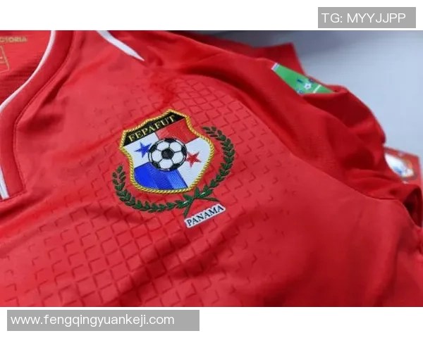 武汉网球队在世界杯积分榜上以90分稳居第一名展现强大实力